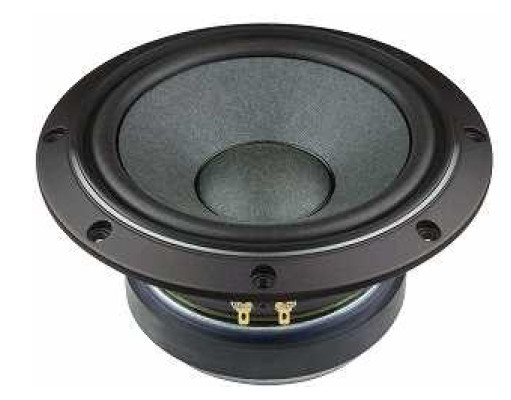 Fostex FW208HS