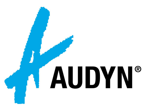 Audyn